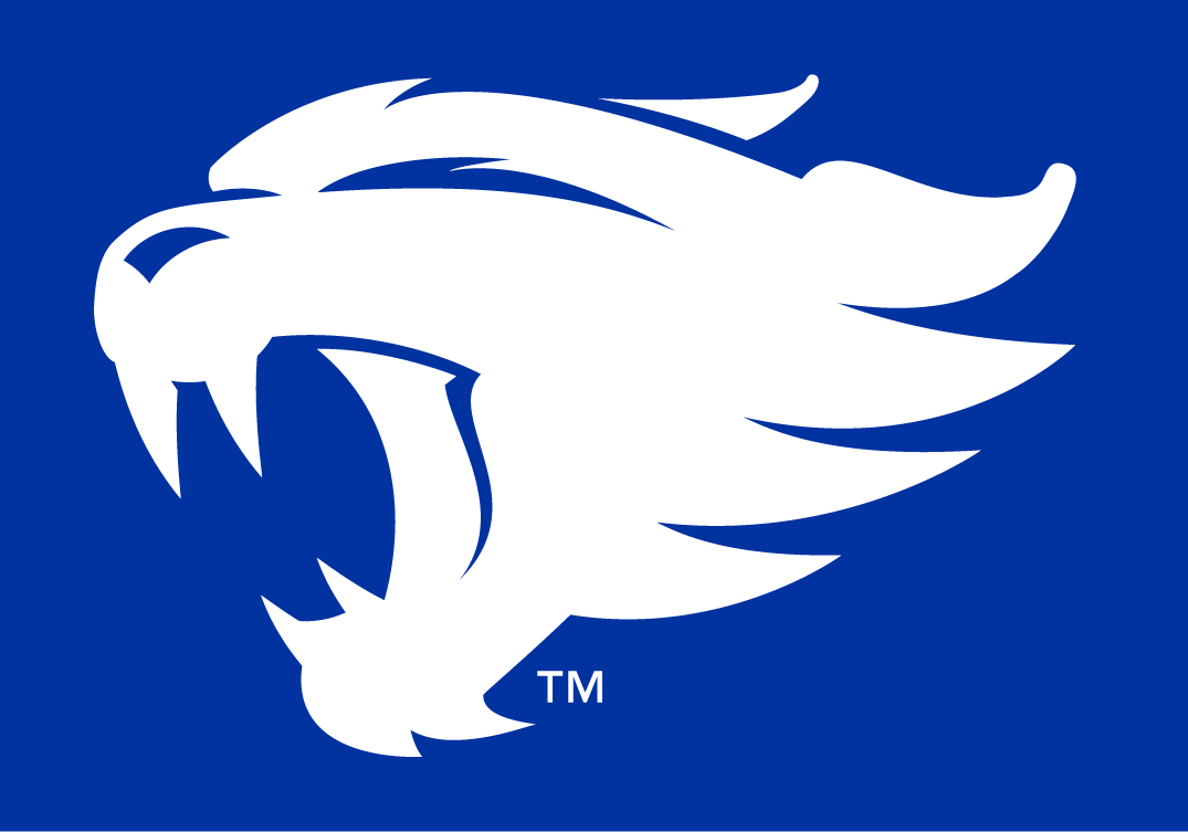 Kentucky Wildcats 2016-Pres Alternate Logo t shirts DIY iron ons v2